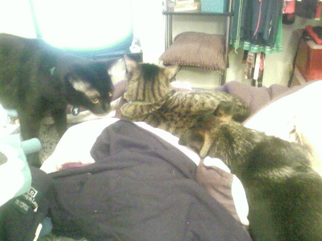 Brothers.