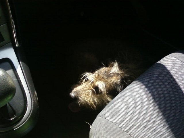 he's in the shade