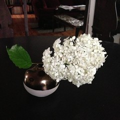 Snowball hydrangea, clearance Nate Berkus vase