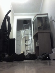 My entrance is a little crowded at this time.