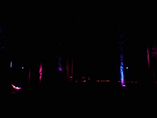still burnin' rubber in the forest