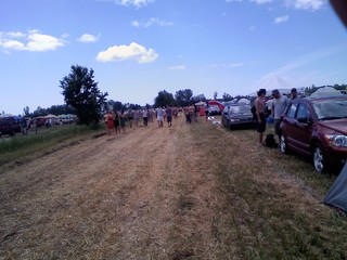cornfield land..