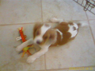 Meet spencer