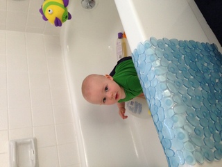 He's a climber. He got in by himself!