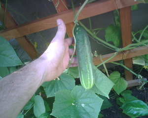 First of the year!