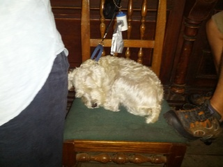 Jagger is zonked