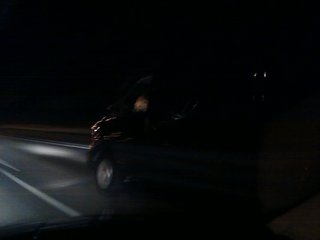 The dog is driving