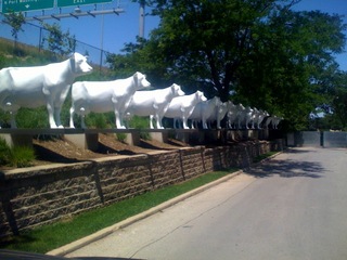 Only in Wisconsin