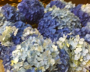 Les fleurs