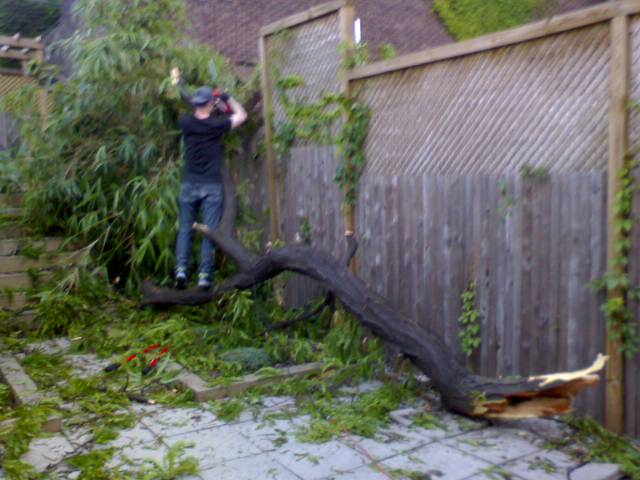 One Sweaty Guy Tree Services