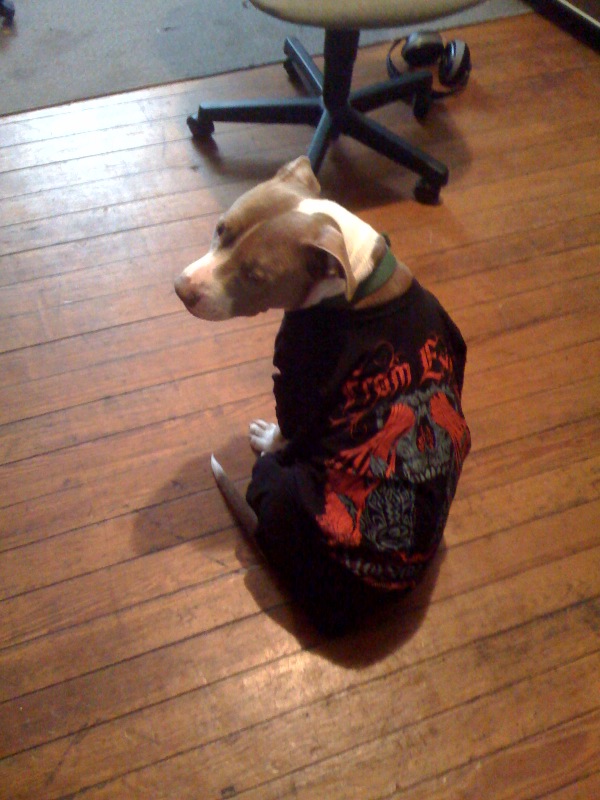 Dio wearing Monolith T