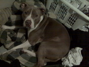 What? I can't lick my balls in peace?