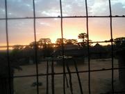 from my 'hotel'
