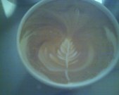 Leafy victory!