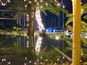 view from dinner