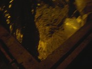 SOMEONE puked in the dumpster