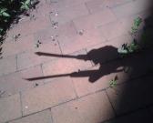 Shadow of a fierce beast