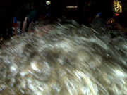 IMG00014.jpg