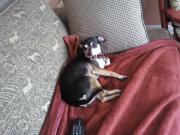 Bronson is on vacation, too.