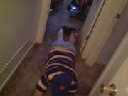 Rich fall down  boom