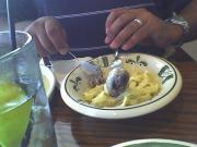 Fettucine alfredo with creamy wang