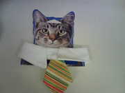 Someone's cat needs this tie/collar