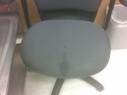Jess spilled a mashed shrew cerebellum mixed with mutagen. We will not be sitting here.
