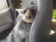 My ac is broke. He's a lil hot.
