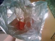 Really? This was left in the chip bag and clipped away :)