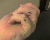 I hate being left handed sometimes. Also, our pens are leaky little bastards.