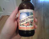Does not taste like pumpkin, but still very good
