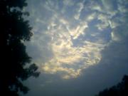 Good morning!