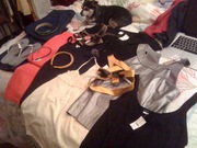 KT & I made the J. Crew sale our bitch tonight. Happy birthday to me!