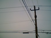 The temp is so cool today. feels like its gonna rain