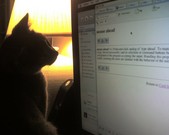 We're playing with the mouse pointer