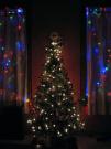 night tree