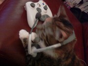 Totally caught her bustin' some caps in GTA4.