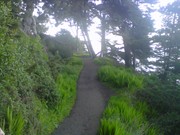 IMG01725-20120208-1934.jpg