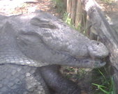 IMG01021.jpg