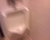 This women's restroom has a urinal.. Just in case.