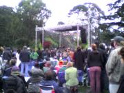 Elvis costello!