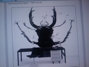 holy fucking shit!  I am totally getting this for above my sofa