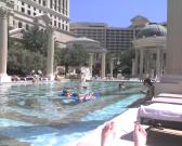 Lovely pool day.
