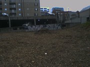 New dose and dtek in my hood