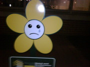 Why don't you pluck yourself, emo flower