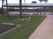 Mmmm, Florida
