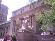 Public library
