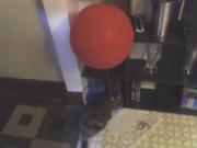 Bouy'd!