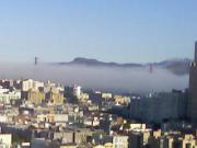 Golden gate in fog