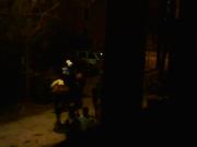 horse cops are summoned